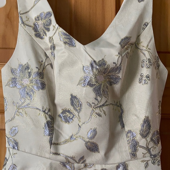 ⚜️NWOT Beautiful Dress - Picture 4 of 7